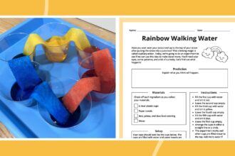 Rainbow Walking Water Experiment: How-To Plus Free Worksheet