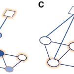 Social connections are key to preventing disease, study finds