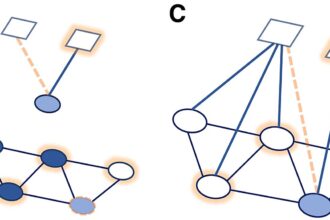 Social connections are key to preventing disease, study finds