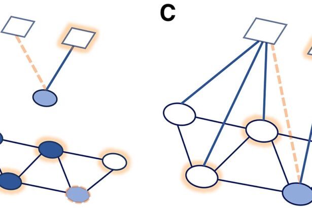 Social connections are key to preventing disease, study finds