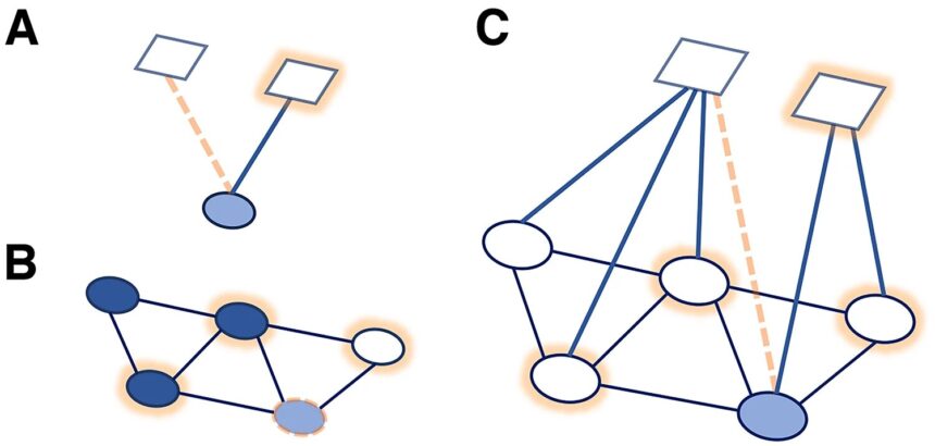 Social connections are key to preventing disease, study finds