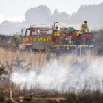 Swift response helped control Port Hills fire: Fenz