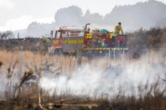 Swift response helped control Port Hills fire: Fenz