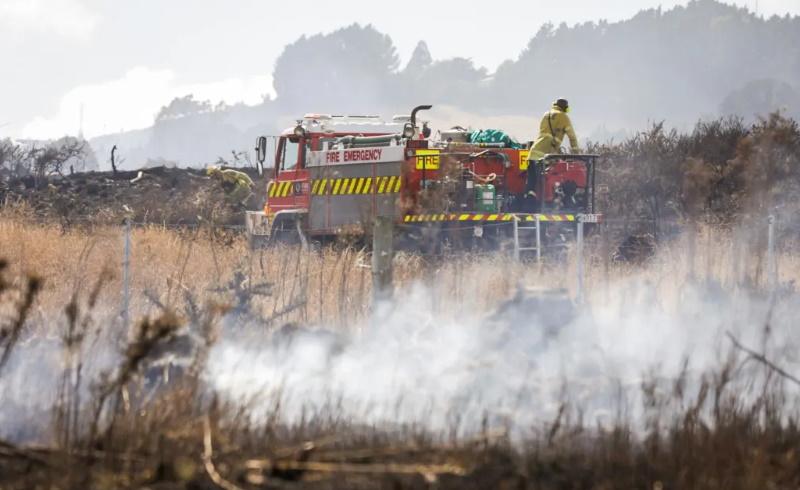 Swift response helped control Port Hills fire: Fenz