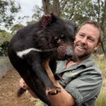 The bold plan to bring back Tasmanian devils across mainland Australia