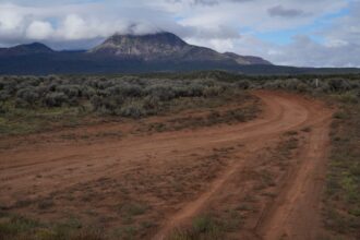 Trump taps Sgamma of Western Energy Alliance to head Bureau of Land Management