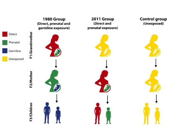 Violence can leave genetic marks on future generations