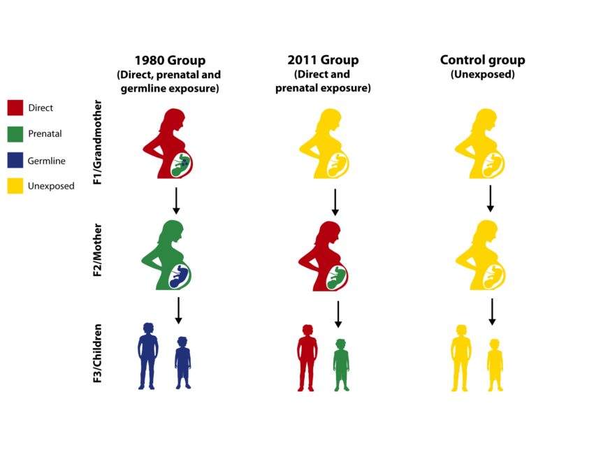 Violence can leave genetic marks on future generations