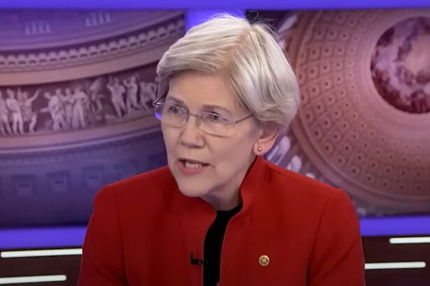 Watch Elizabeth Warren Contradict Elizabeth Warren About the Importance of Court Rulings (D)epending on What’s at Stake (VIDEO) |