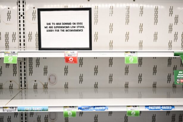 What climate change means for bird flu — and the soaring price of eggs