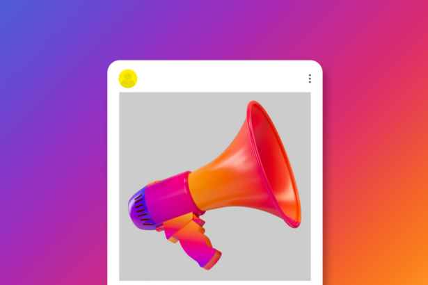 How To Grow Instagram Followers Organically