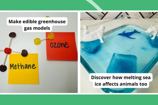 17 Meaningful Climate Change Activities for Kids