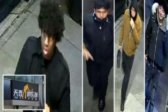 4 muggers bash man with hammer, punch teen inside NYC pool hall: cops