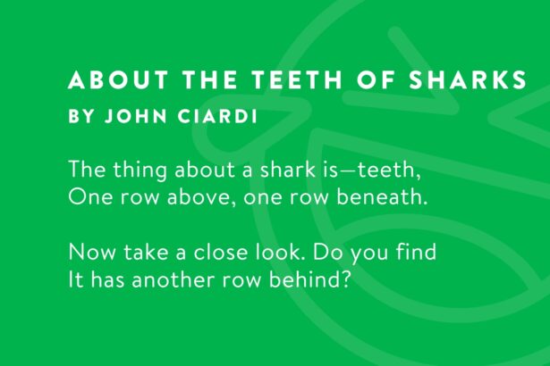 40 Hilariously Funny Poems To Read and Share