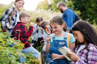 43 Spring Activities for Kids That Make Learning Bloom