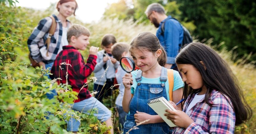 43 Spring Activities for Kids That Make Learning Bloom