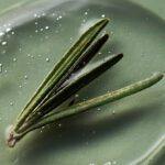 A Hidden Compound in Rosemary Could Help Fight Alzheimer’s : ScienceAlert