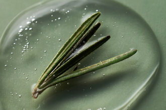 A Hidden Compound in Rosemary Could Help Fight Alzheimer’s : ScienceAlert