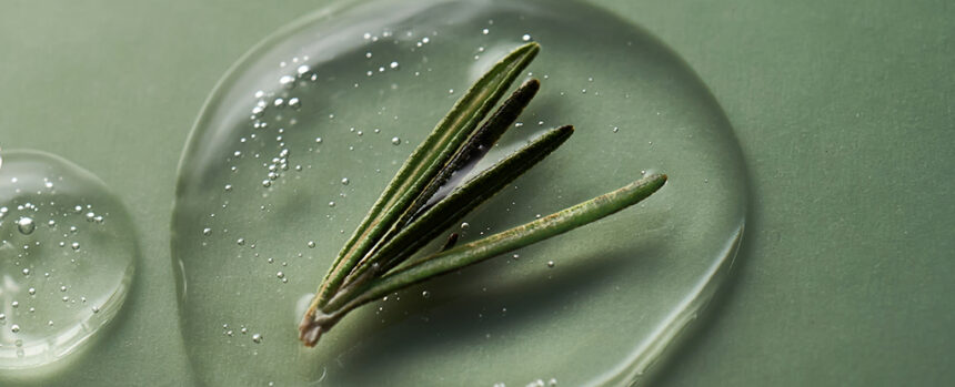 A Hidden Compound in Rosemary Could Help Fight Alzheimer’s : ScienceAlert