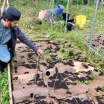 A greener Ramadan: How Atlanta-area mosques are cutting food waste during the Muslim holy month