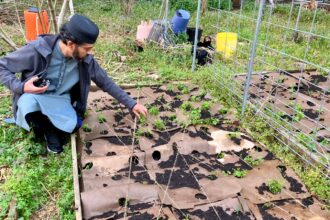 A greener Ramadan: How Atlanta-area mosques are cutting food waste during the Muslim holy month