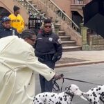 A$AP Rocky Gets Dragged by Dalmatians During Photo Shoot