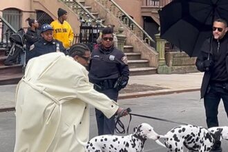 A$AP Rocky Gets Dragged by Dalmatians During Photo Shoot