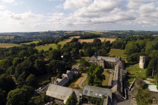 Agroforestry pioneer in bid to save garden