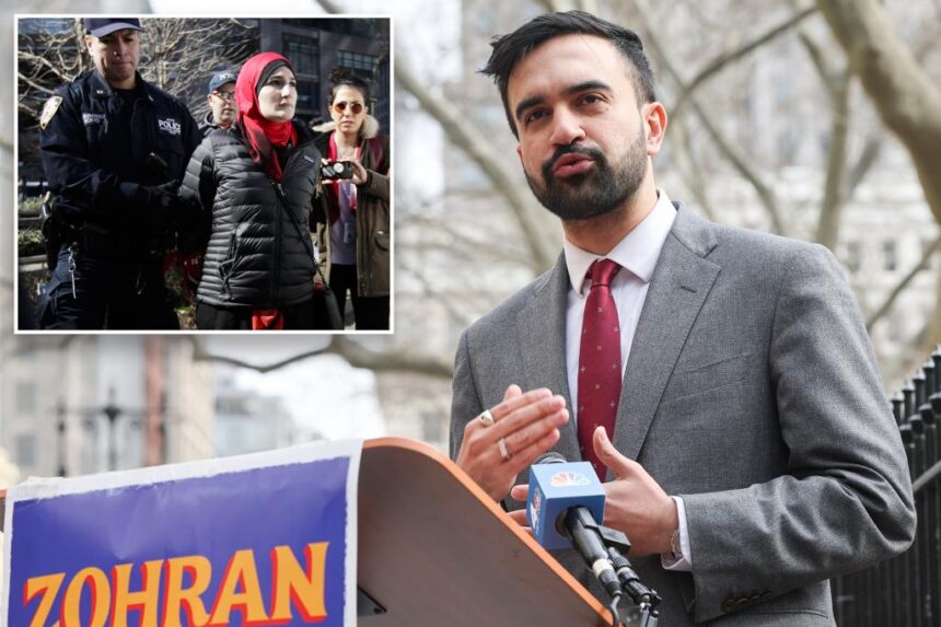 ‘Antisemitic’ activist pushing Zohran Mamdani’s NYC mayoral bid