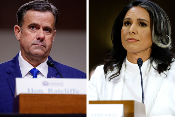 Black Sea deal; Signal app; Return to office order : NPR