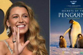 Blake Lively Narrated New Show About Penguins To Boost Poor Showbiz Image