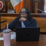 Bronx Councilwoman Althea Stevens disses her own voters’ crime fears