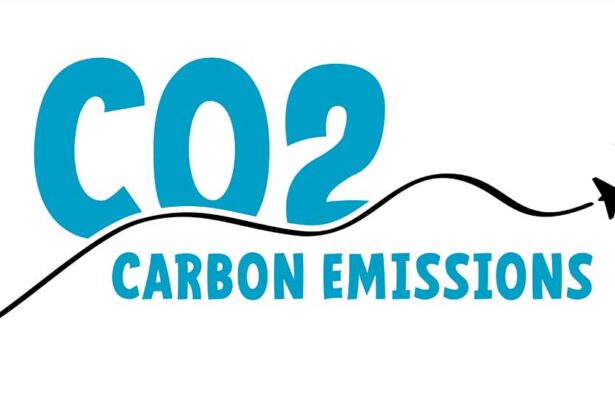 Carbon Calculating: Understanding Your Airline Travel Impact