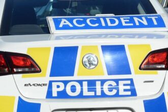 Carnage as car collides with cattle