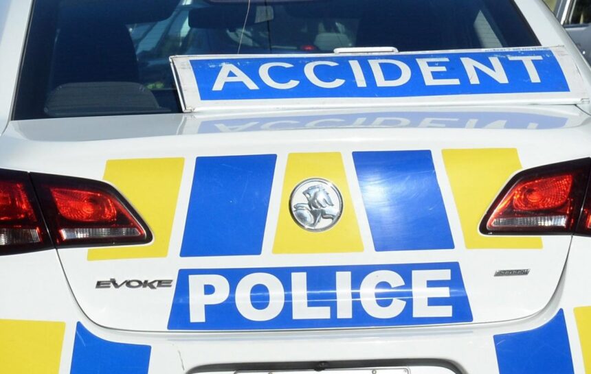 Carnage as car collides with cattle