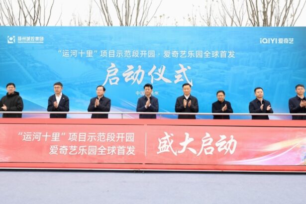 China’s ‘Netflix’ iQiyi to open theme park with VR based on its shows