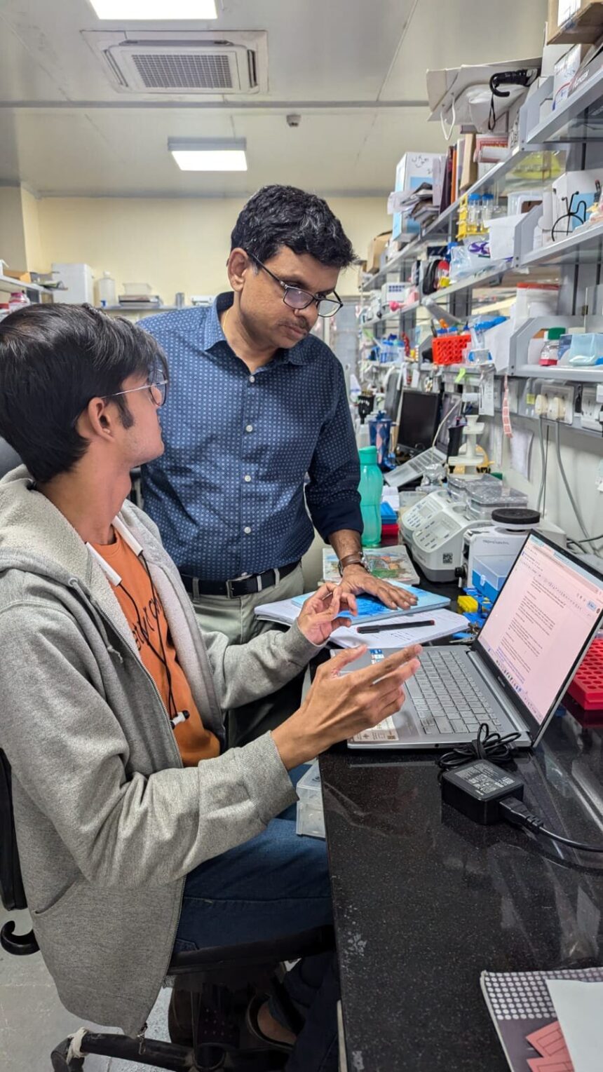 Chronic sucrose consumption in mice reveals organ-specific metabolic disruptions