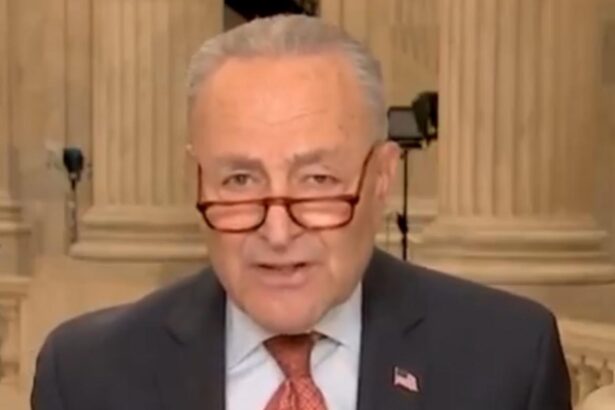 Chuck Schumer Calls Republicans “Bastards” Live on Air (VIDEO) |
