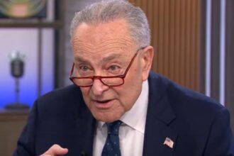 Chuck Schumer Says He’s The Best At Winning Senate Seats As He Hides From Democrats