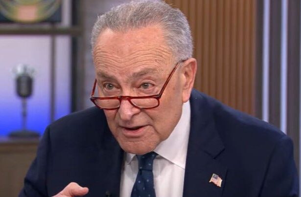 Chuck Schumer Says He’s The Best At Winning Senate Seats As He Hides From Democrats
