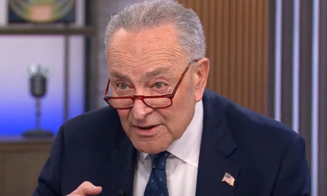 Chuck Schumer Says He’s The Best At Winning Senate Seats As He Hides From Democrats