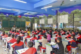 Classrooms decorated like woodlands seem to slow myopia progression