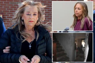 Connecticut woman accused of torturing stepson blames late hubby — while lawyer says vic ‘could have just walked away’