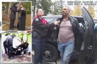 Dad charged with trying to ‘honor kill’ daughter was only worried about his car during arrest: video