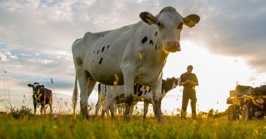 Dairy giant Arla’s climate ‘fairytale’