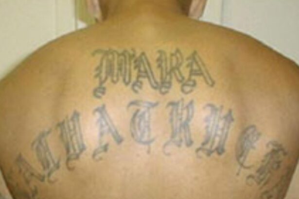 Department of Justice: MS-13 Leader Arrested in Virginia