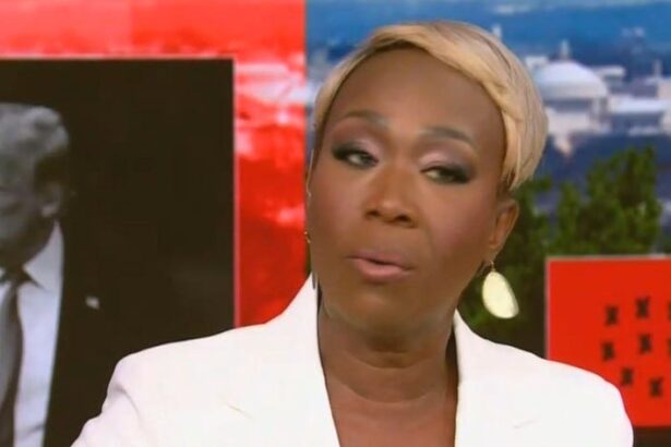 Did MSNBC Cancel Joy Reid To Please Donald Trump?