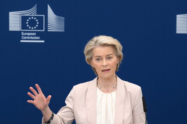 EU Condemns Trump Auto Tariffs