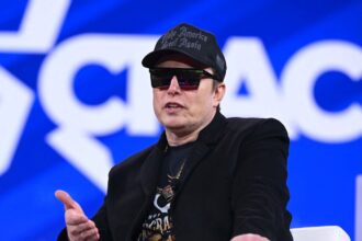 Elon Musk says DOGE involvement is making it harder to run his businesses