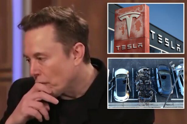 Elon Musk slams Tesla vandalism spree as ‘a great wrong’